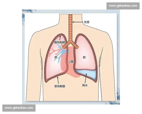 合理规划体力分配提升效率与健康的实用方法与策略 合理规划体力分配提升效率与健康的实用方法与策略