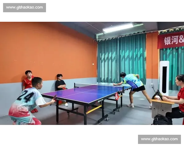 乒乓球新星崛起引领未来赛场风云与激情比拼