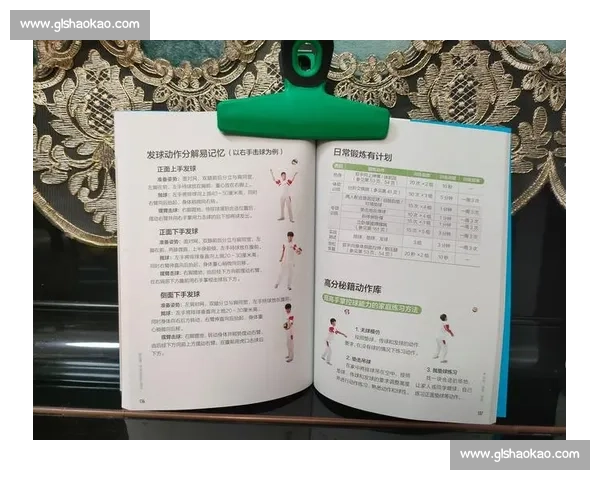 科学系统的全身锻炼训练计划与阶段性目标安排指南