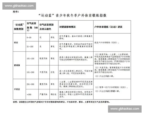 提升青少年体育健康行为促进全面身心发展的策略研究 提升青少年体育健康行为促进全面身心发展的策略研究